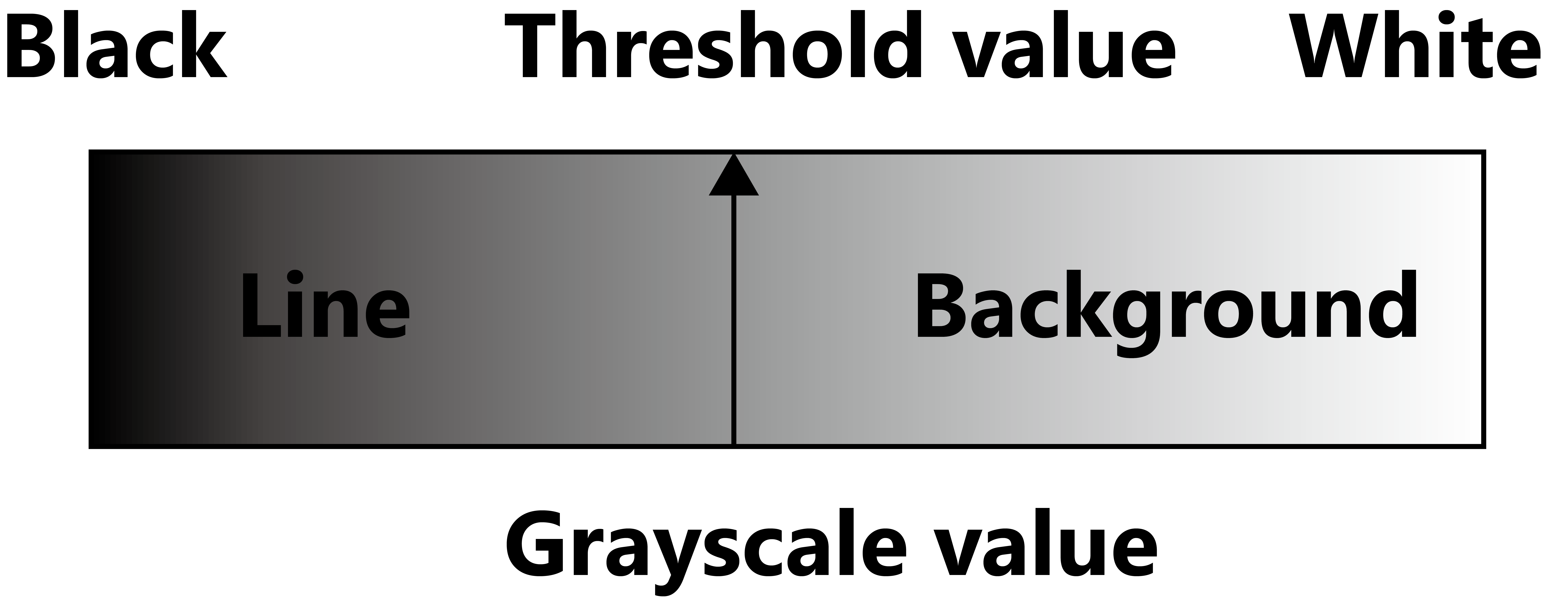 Asset 3.png